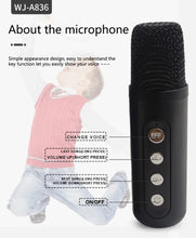 Load image into Gallery viewer, Karaoke Machine for Children and Adults, Portable Bluetooth Speaker