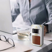 Load image into Gallery viewer, ICONTO Quran Speaker with Remote Control

