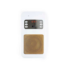 Load image into Gallery viewer, ICONTO Quran Speaker with Remote Control
