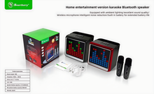 Load image into Gallery viewer, Karaoke Machine for Children and Adults, Portable Bluetooth Speaker
